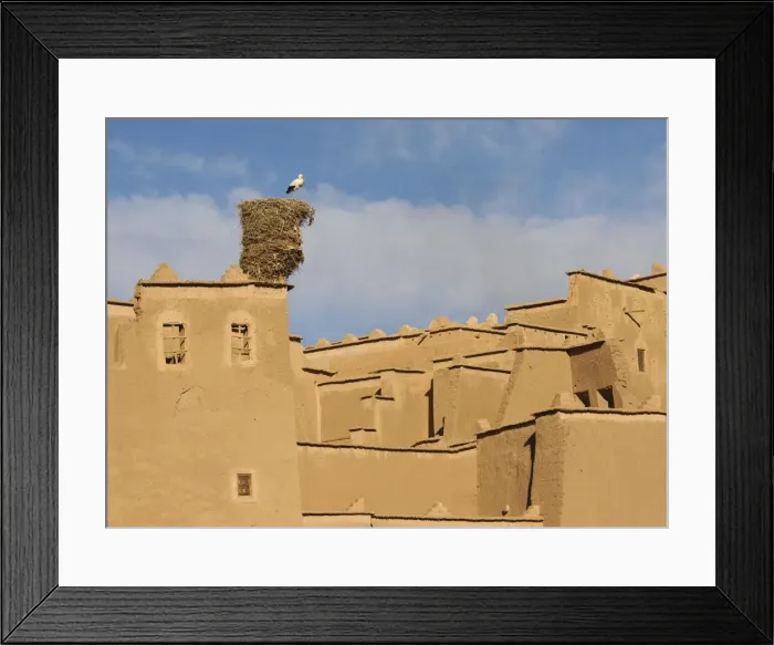 Framed Print : Picture No. 10761433 Framed Print : Picture No. 10761433