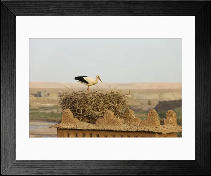 Framed Print : Picture No. 10761430 Framed Print : Picture No. 10761430