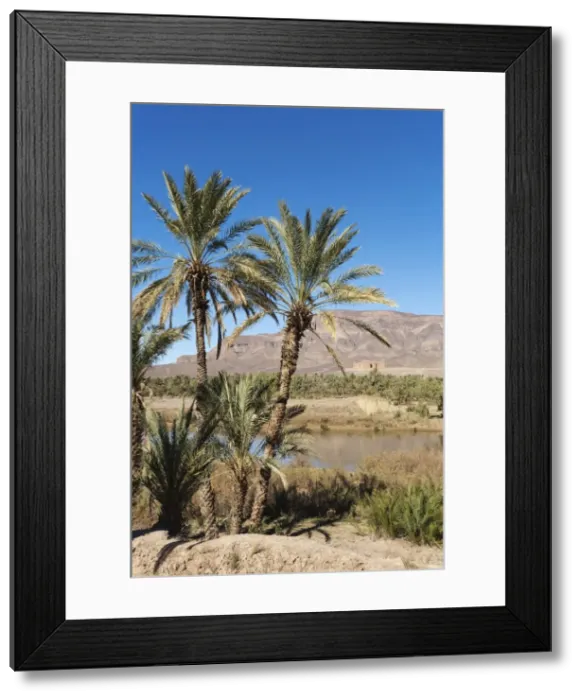 Framed Print : Picture No. 10761434 Framed Print : Picture No. 10761434