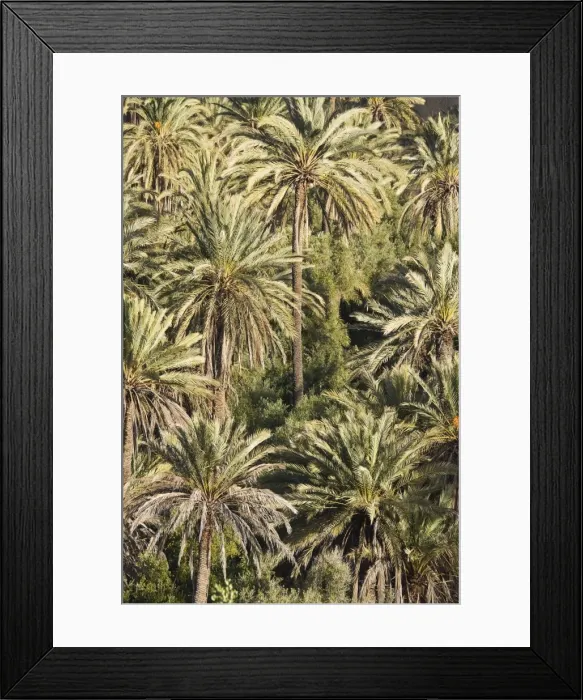 Framed Print : Picture No. 10761450 Framed Print : Picture No. 10761450