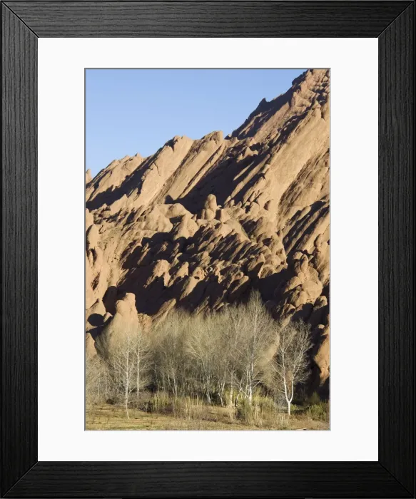 Framed Print : Picture No. 10761448