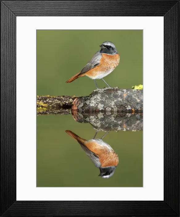 Framed Print : Picture No. 10983471 Framed Print : Picture No. 10983471