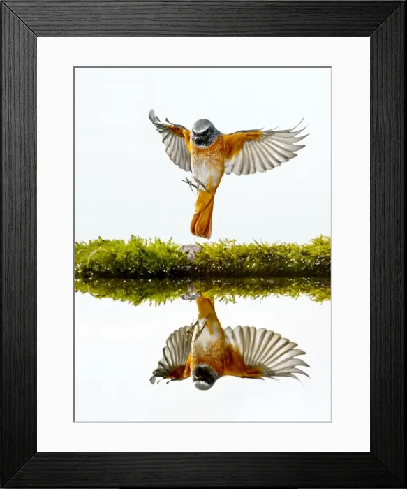 Framed Print : Picture No. 10983474 Framed Print : Picture No. 10983474