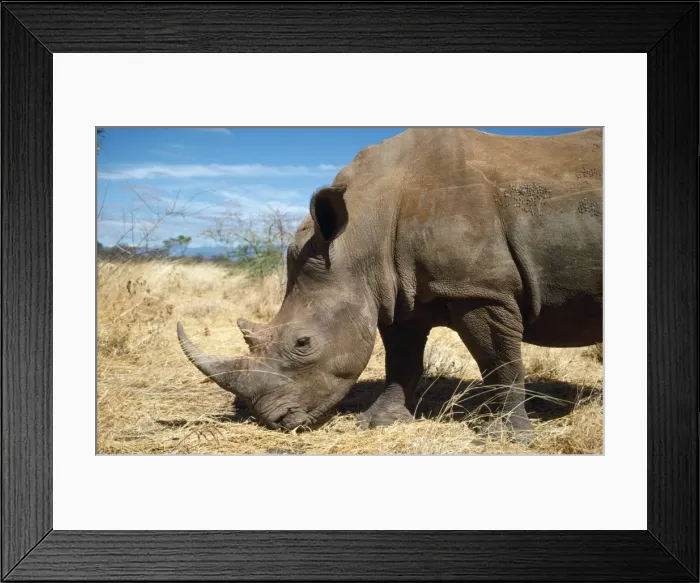 Framed Print : Picture No. 10762020