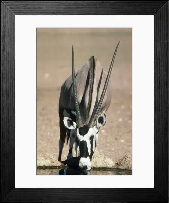 Framed Print : Picture No. 10762025 Framed Print : Picture No. 10762025