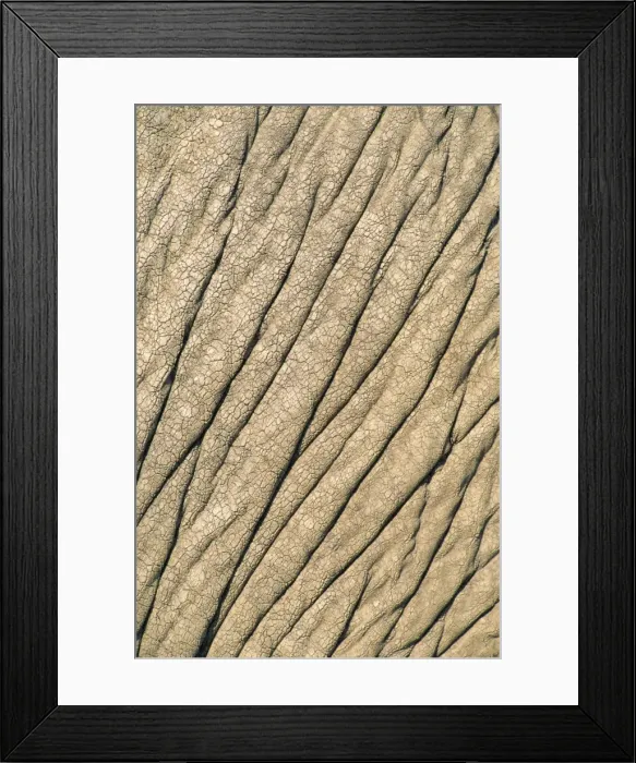 Framed Print : Picture No. 10762024 Framed Print : Picture No. 10762024