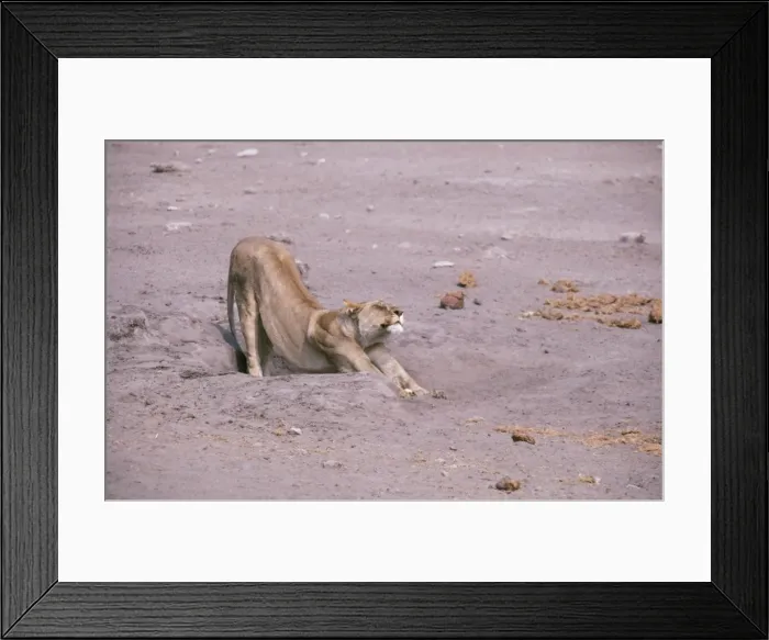 Framed Print : Picture No. 10762036 Framed Print : Picture No. 10762036