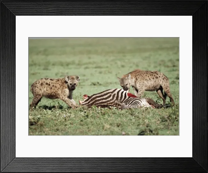 Framed Print : Picture No. 10762041 Framed Print : Picture No. 10762041