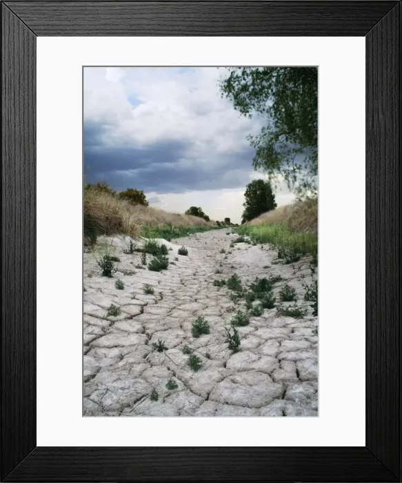 Framed Print : Picture No. 10762054 Framed Print : Picture No. 10762054