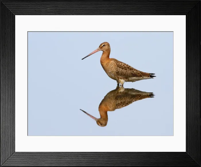 Framed Print : Picture No. 10983513 Framed Print : Picture No. 10983513