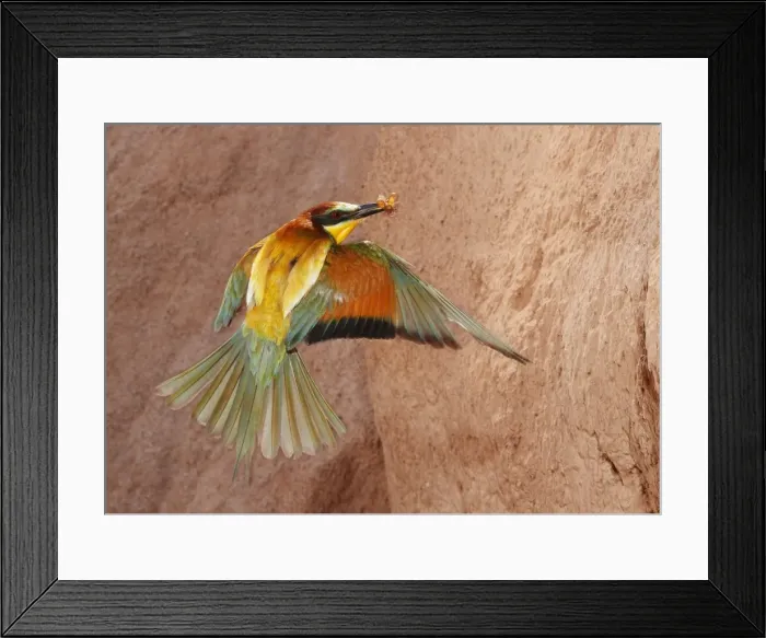 Framed Print : Picture No. 10983538 Framed Print : Picture No. 10983538