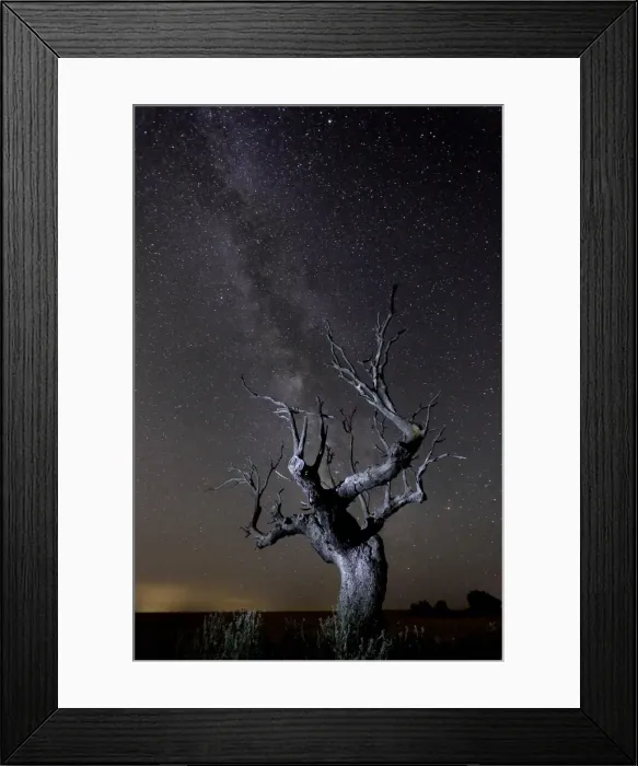 Framed Print : Picture No. 10983540 Framed Print : Picture No. 10983540