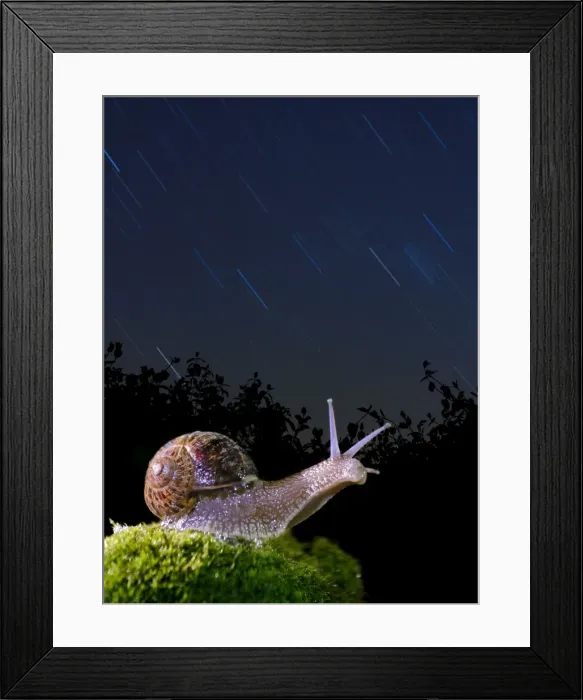 Framed Print : Picture No. 10983545 Framed Print : Picture No. 10983545