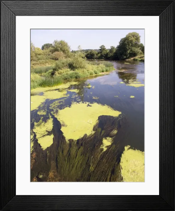 Framed Print : Picture No. 10983555 Framed Print : Picture No. 10983555