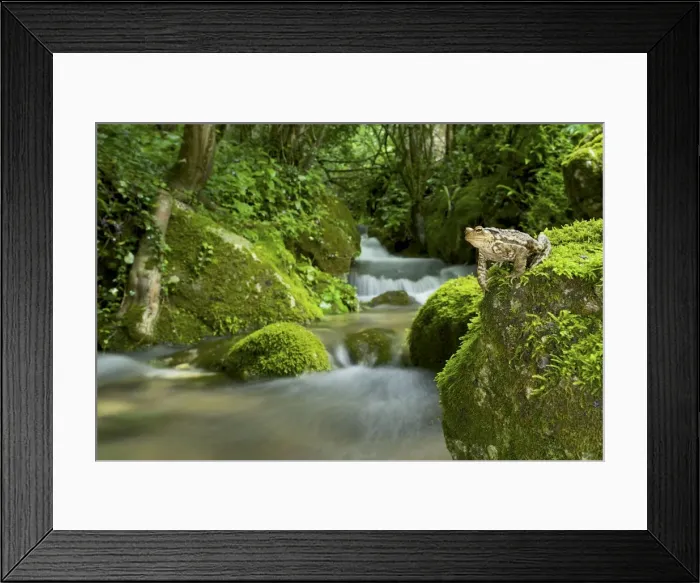 Framed Print : Picture No. 10983570 Framed Print : Picture No. 10983570