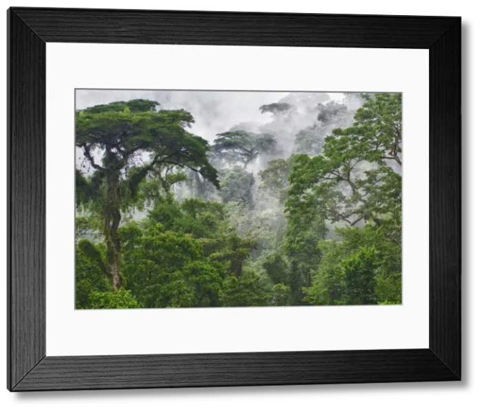 Framed Print : Picture No. 10983568 Framed Print : Picture No. 10983568
