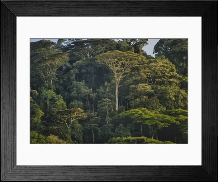 Framed Print : Picture No. 10983589 Framed Print : Picture No. 10983589