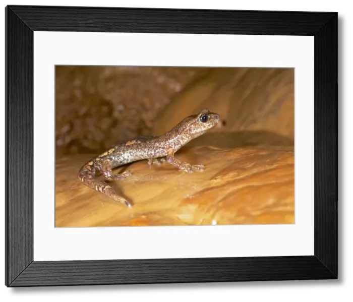 Framed Print : Picture No. 10983587 Framed Print : Picture No. 10983587