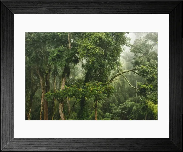 Framed Print : Picture No. 10983590 Framed Print : Picture No. 10983590