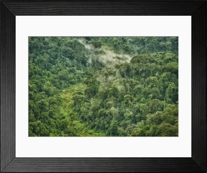 Framed Print : Picture No. 10983592 Framed Print : Picture No. 10983592