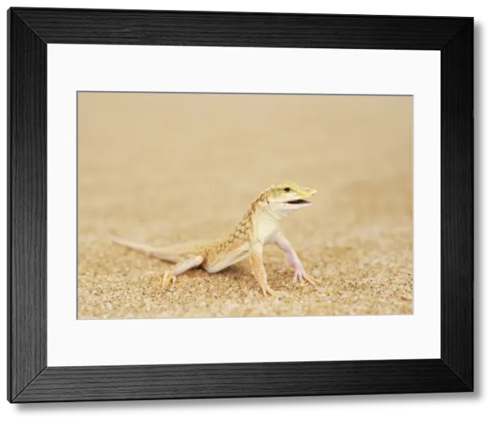 Framed Print : Picture No. 10983613 Framed Print : Picture No. 10983613
