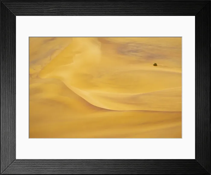 Framed Print : Picture No. 10983615