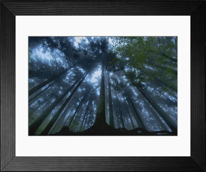 Framed Print : Picture No. 10983619 Framed Print : Picture No. 10983619