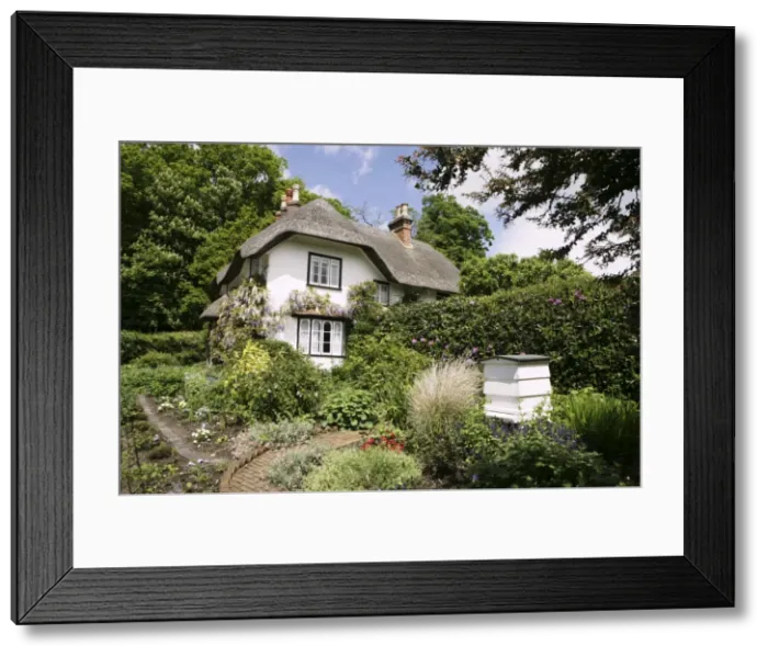 Framed Print : Picture No. 10983622 Framed Print : Picture No. 10983622