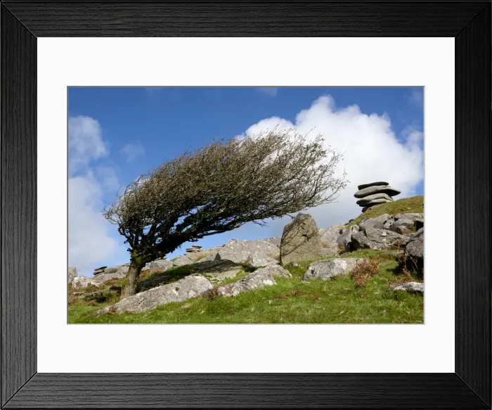 Framed Print : Picture No. 10983626