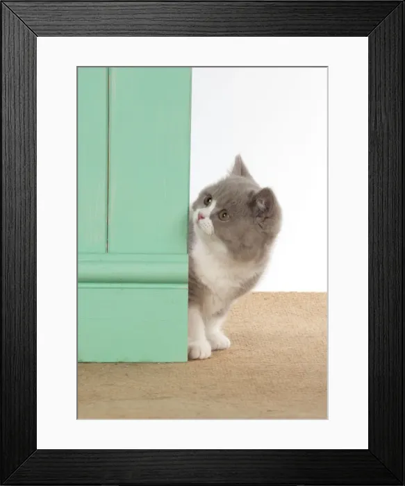 Framed Print : Picture No. 10983658 Framed Print : Picture No. 10983658