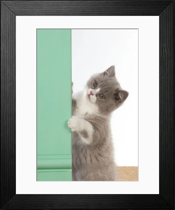 Framed Print : Picture No. 10983660 Framed Print : Picture No. 10983660