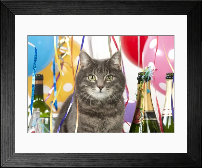 Framed Print : Picture No. 10983662 Framed Print : Picture No. 10983662