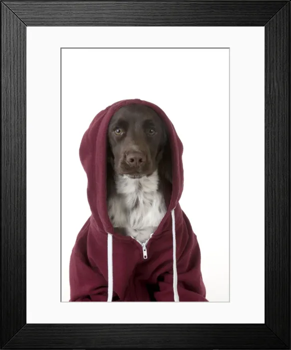 Framed Print : Picture No. 10983766 Framed Print : Picture No. 10983766
