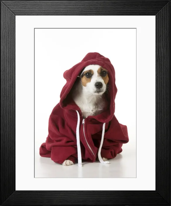 Framed Print : Picture No. 10983769 Framed Print : Picture No. 10983769