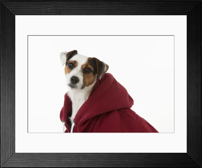 Framed Print : Picture No. 10983770 Framed Print : Picture No. 10983770