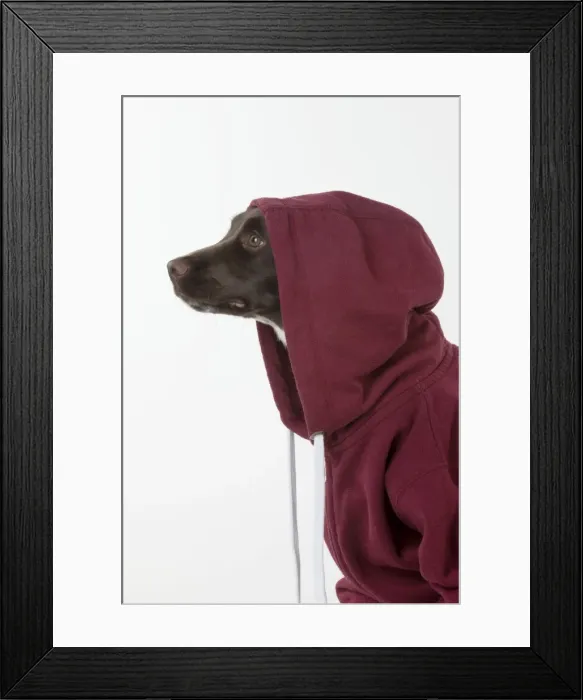 Framed Print : Picture No. 10983768 Framed Print : Picture No. 10983768
