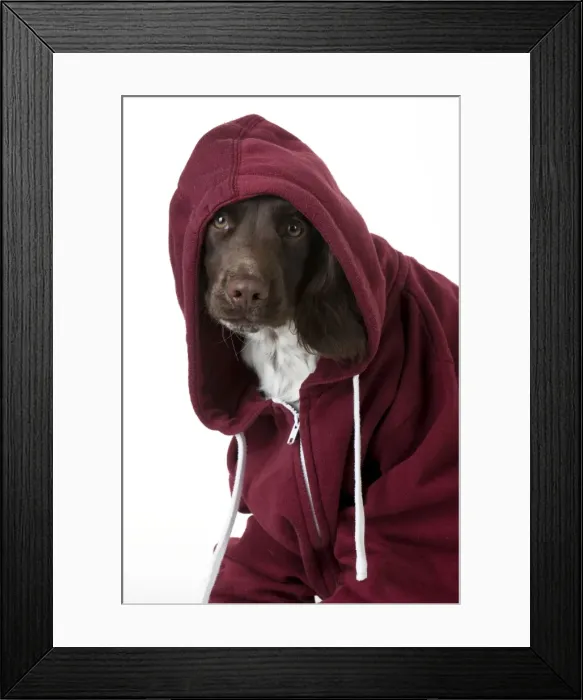 Framed Print : Picture No. 10983767 Framed Print : Picture No. 10983767