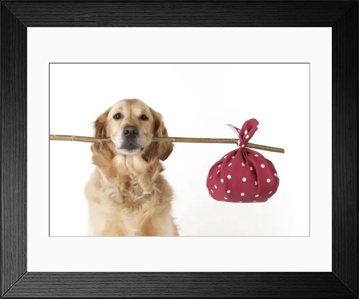 Framed Print : Picture No. 10983774 Framed Print : Picture No. 10983774