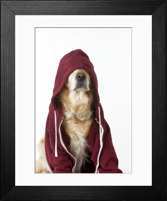 Framed Print : Picture No. 10983772 Framed Print : Picture No. 10983772