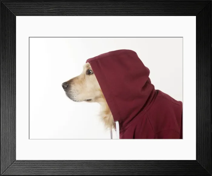 Framed Print : Picture No. 10983773 Framed Print : Picture No. 10983773