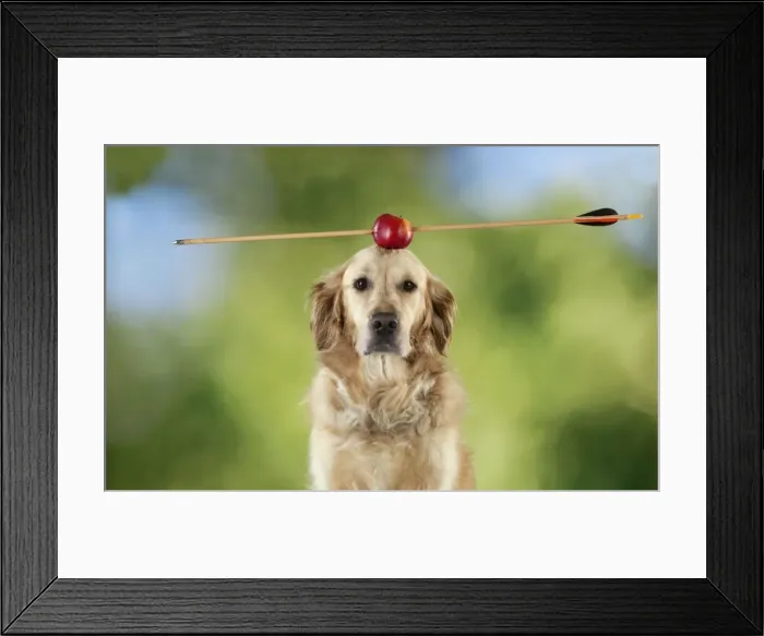 Framed Print : Picture No. 10983780