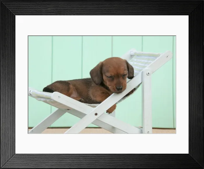 Framed Print : Picture No. 10983803 Framed Print : Picture No. 10983803