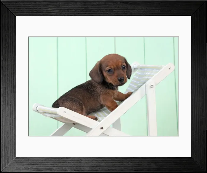 Framed Print : Picture No. 10983802 Framed Print : Picture No. 10983802
