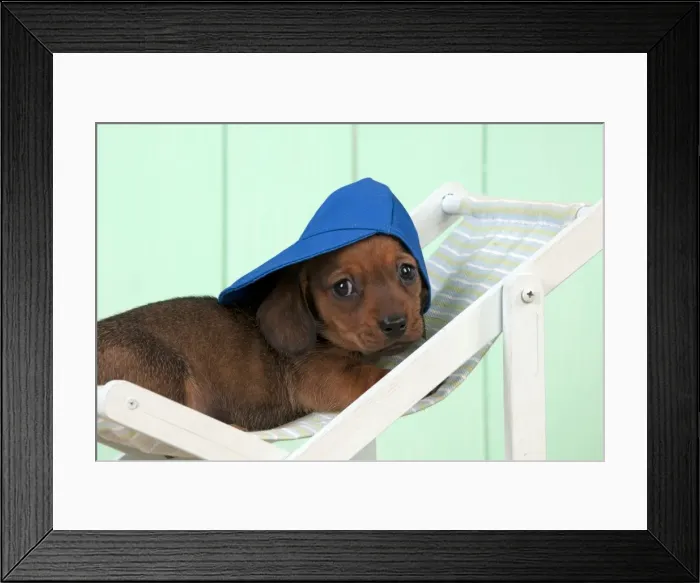 Framed Print : Picture No. 10983804 Framed Print : Picture No. 10983804