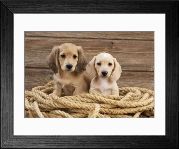 Framed Print : Picture No. 10983809 Framed Print : Picture No. 10983809