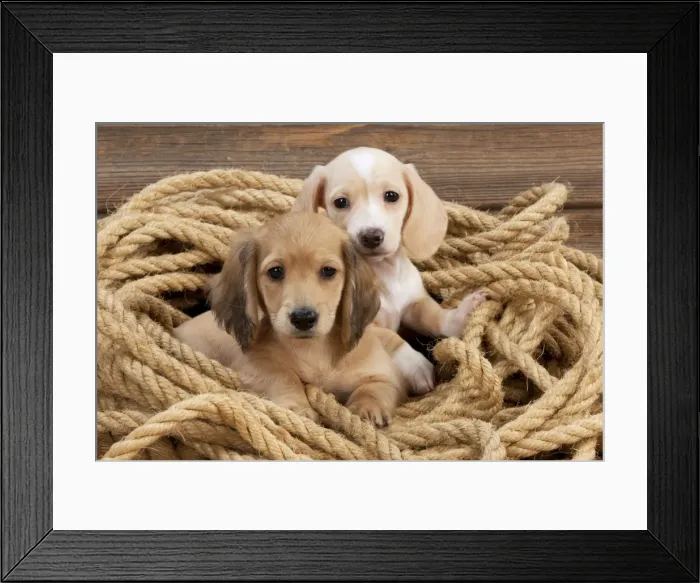 Framed Print : Picture No. 10983811 Framed Print : Picture No. 10983811