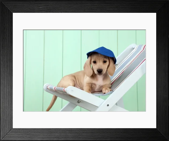 Framed Print : Picture No. 10983805 Framed Print : Picture No. 10983805