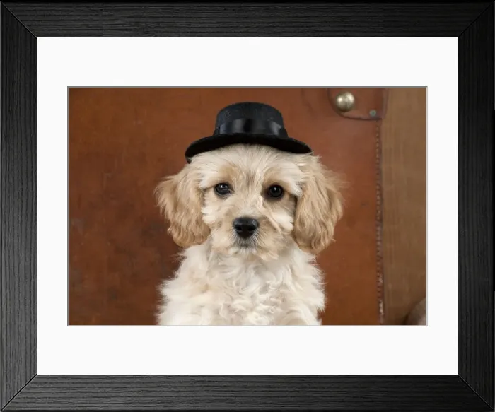 Framed Print : Picture No. 10983840 Framed Print : Picture No. 10983840