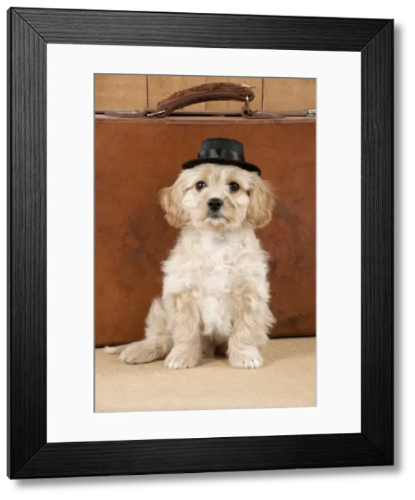 Framed Print : Picture No. 10983839 Framed Print : Picture No. 10983839