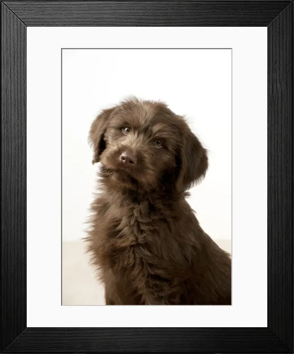 Framed Print : Picture No. 10983853